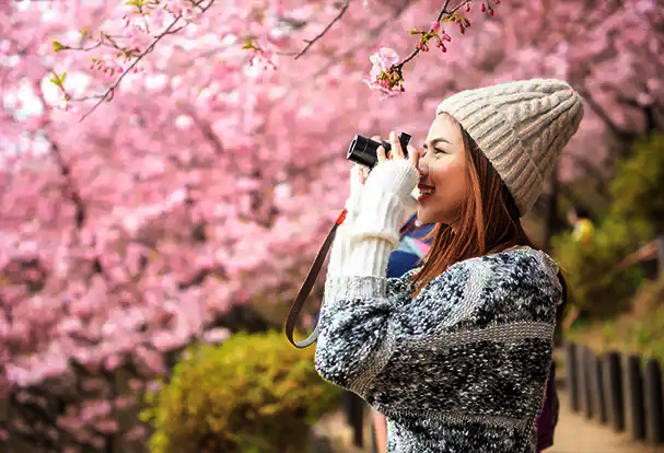 Fotografie-Tipps für bunte Frühlingsfotos Eine junge Frau mit Strickpullover und -mütze, fotografiert die rosa Blüten eines Kirschbaums. Entdecke unsere Fotografie-Tipps für den Frühling!