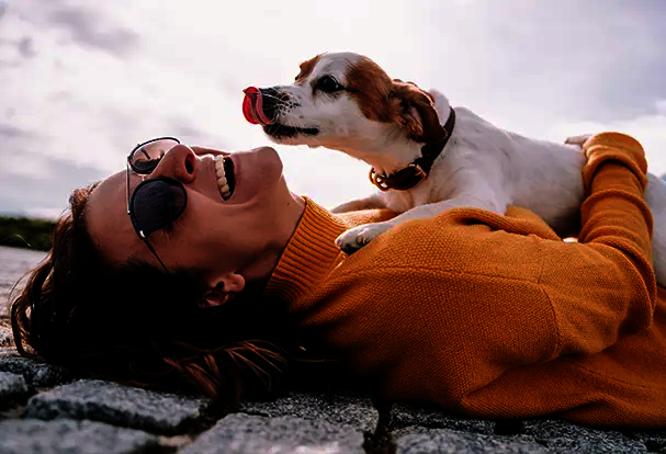 Entdecke Tipps für tierisch gute Schnappschüsse Mit unseren Tipps und Tricks sind lebendige und lustige Tierfotos garantiert,