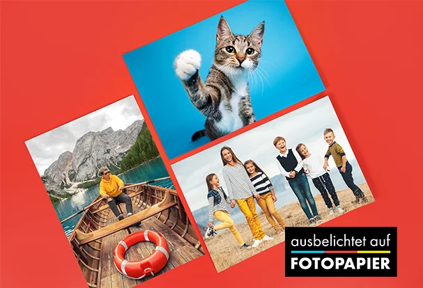 Fotoposter auf Fotopapier bleibt auch im Trend 2025 Ein Bild auf einem Fotoposter. ORWO Produktneuheit im Poster-Editor. Katze, Kinder, Mann im Ruderboot: Wir belichten alle deine Bilder auf Fotopapier.