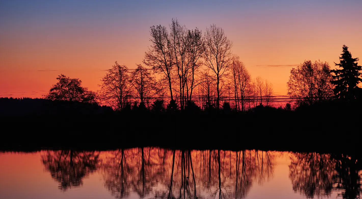 Eine Baumreihe vor einem See, fotografiert zur blauen Stunde, taucht das Foto in ein warmes Orange. Die Bäume und deren Spiegelung sind tiefschwarz.