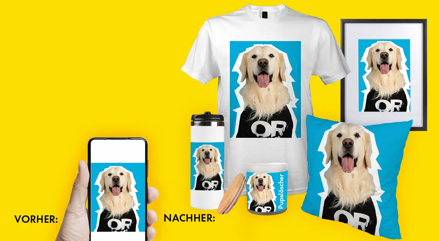 Dein Foto auf ORWO Fotoprodukten - Sieh es dir an Vorher - Nachher: Ein Smartphone zeigt Marley, den ORWO Bürohund. Daneben werden verschiedene Fotoprodukte gezeigt auf denen unser Lieblingsbild von Marley gedruckt sind.