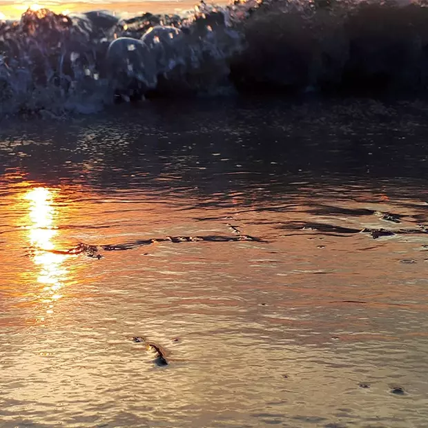 Wellenrauschen zur blauen Stunde: Die Reflexionen der untergehenden Sonne auf der versiegenden Welle schaffen eine romantische Atmosphäre.