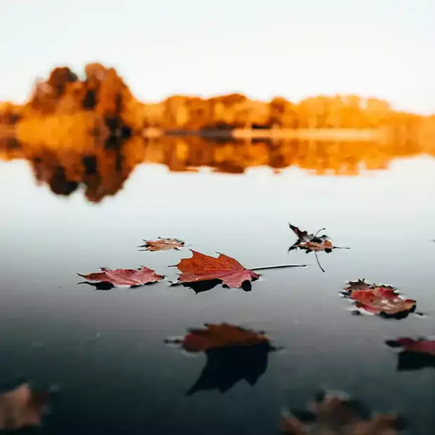 Reflexionen im Wasser einer bunten Landschaft ergeben tolle Herbstbilder.