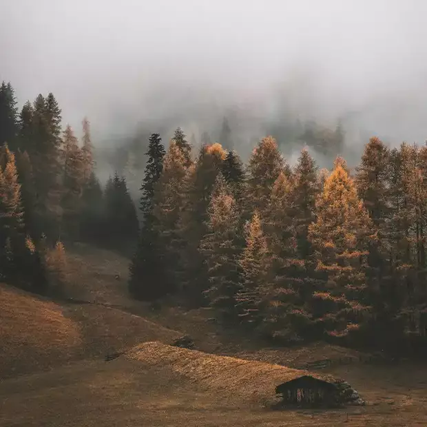 Eine düstere Landschaft mit Nebel gehört beim Fotografieren im Herbst dazu.