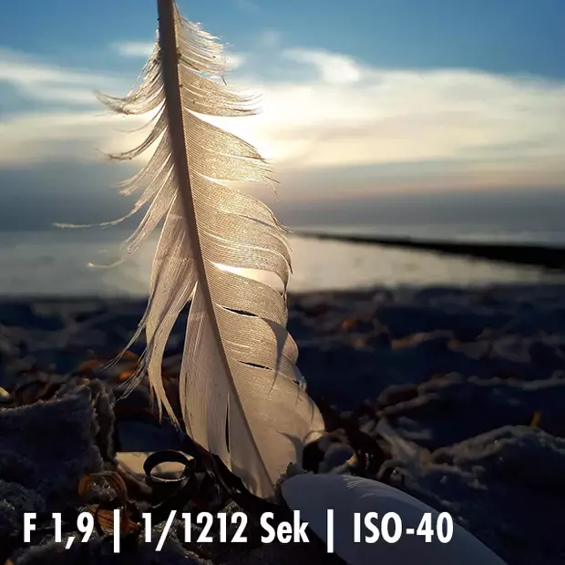 Zur blauen Stunde am Meer: eine Feder steckt im Sand, das Meer rauscht im Hintergrund. Fotografiert wurde ohne zusätzliches, künstliches Licht.