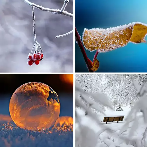 Rote Beeren im Schnee, Reif auf einem Blatt, eine gefrorene Seifenblase oder eine Bank hinter verschneiten Ästen – nur einige Ideen für Winterfotos.