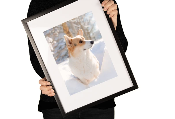 Fotoprodukte Poster im Rahmen mit Hundefoto Fotoprodukte Poster im Rahmen mit individuellem Hundefoto im Schnee, hochwertiger Bilderrahmen mit personalisiertem Foto als Wanddekoration
