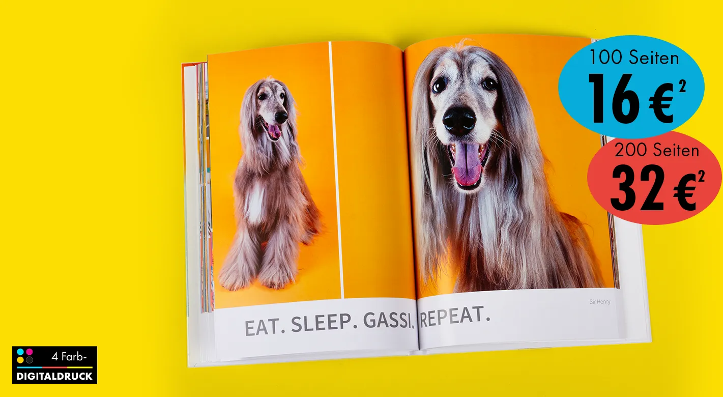 Fotoprodukte mit eigenen Tierfotos gestalten und attraktive Festpreise nutzen Aufgeschlagenes Fotobuch mit großformatigen Hundefotos auf orangenen Seiten sowie Preisaktionen für verschiedene Seitenzahlen auf gelbem Hintergrund